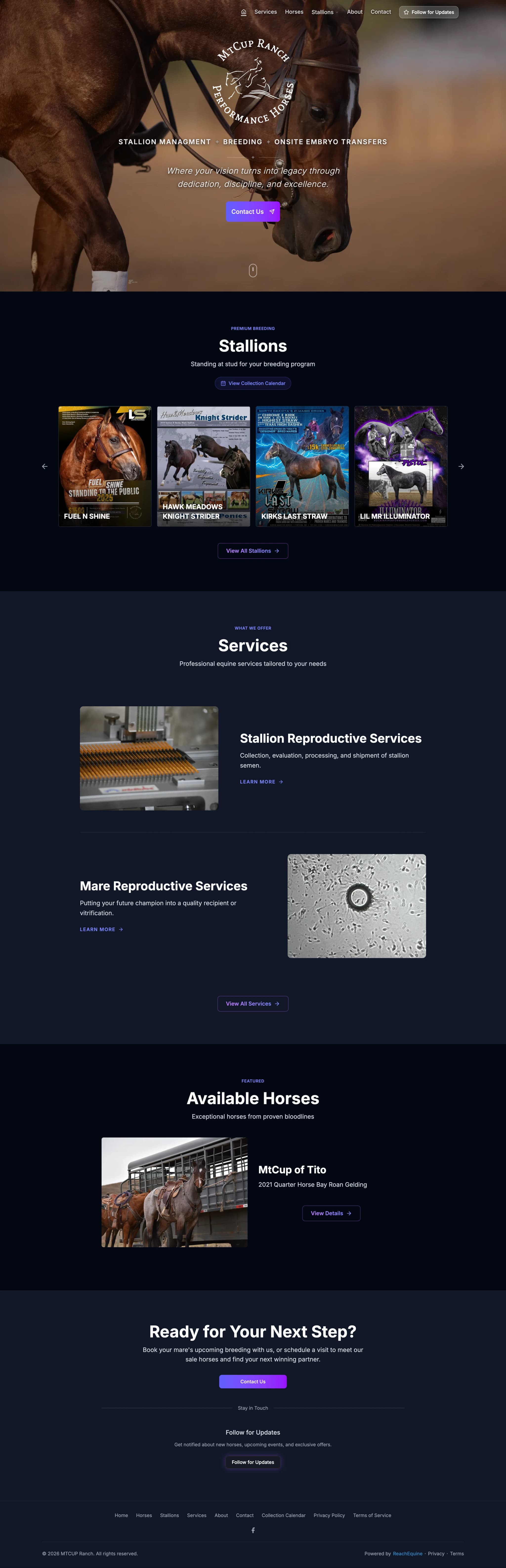 MtCup Ranch Performance Horses homepage