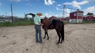 Moonlight In Marfa - Video 3