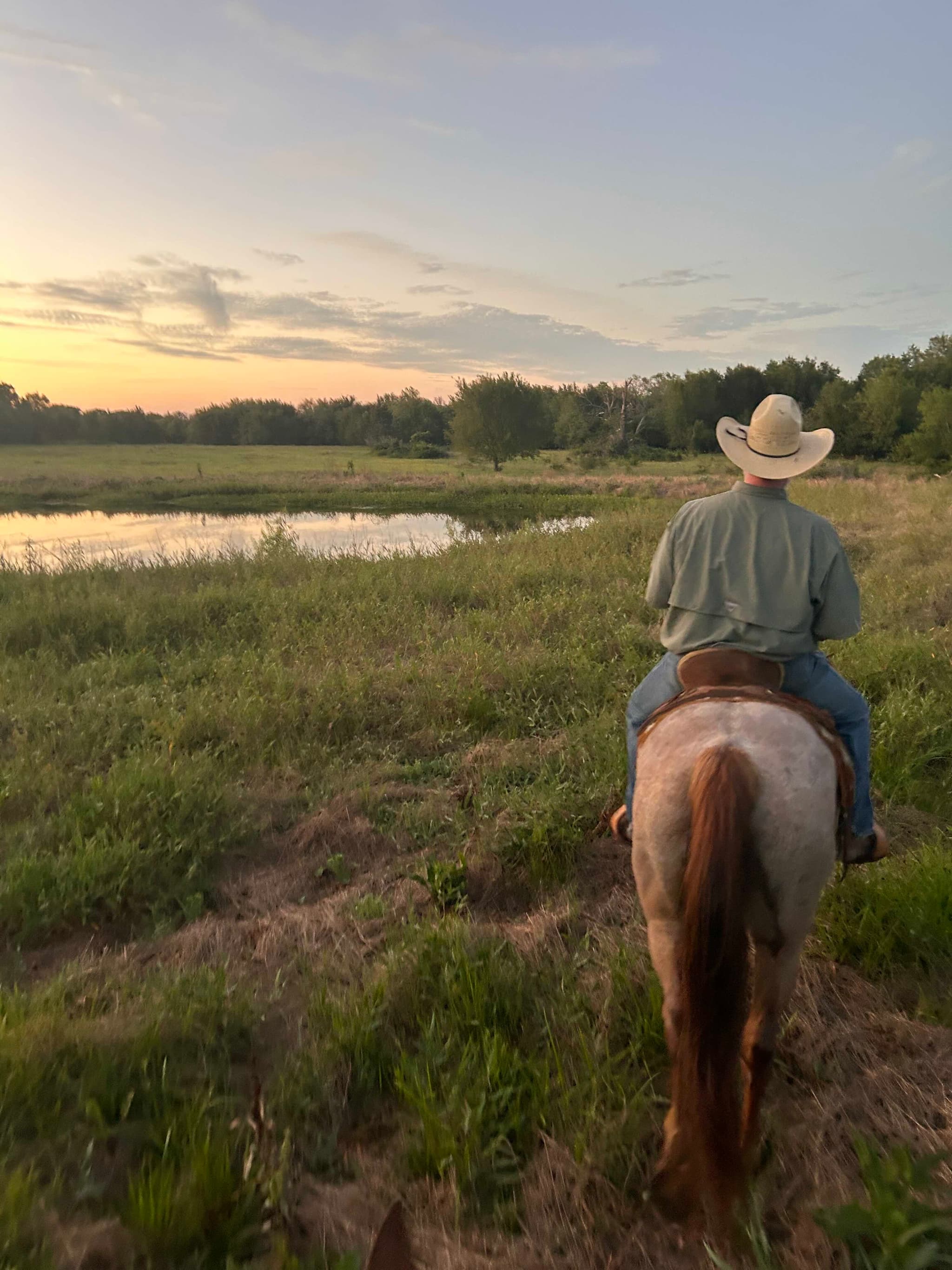 Equine, Farm & Ranch Insurance - Image 1
